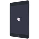 Apple iPad Mini 5th Gen (7.9-inch) Tablet (A2126) Unlocked - 64GB / Space Gray
