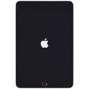 Apple iPad Mini 5th Gen (7.9-inch) Tablet (A2126) Unlocked - 64GB / Space Gray