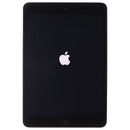 Apple iPad mini 2 (Wi-Fi Only) A1489 - 128GB/Space Gray (ME277LL/A) *Engraving