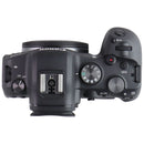 Canon EOS R6 Full Frame Mirrorless Digital Camera (Body Only) - Black (DS126832)