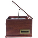 iLive 6-in-1 Bluetooth Turntable Music System - Brown Wood/Gold (ITTB610LW)