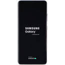 Samsung Galaxy S21 Ultra 5G (6.8-inch) SM-G998U1 Unlocked - 256GB/Silver