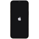 Apple iPhone 12 Pro Max (6.7-inch) Smartphone (A2342) Unlocked - Gold / 128GB