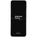 Samsung Galaxy Z Flip5 (6.7-inch) Smartphone SM-F731U1 Unlocked - 256GB/Graphite