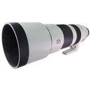 Sony FE 200-600mm F5.6-6.3 G OSS Super Telephoto Zoom Lens (SEL200600G)