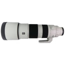 Sony FE 200-600mm F5.6-6.3 G OSS Super Telephoto Zoom Lens (SEL200600G)