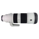 Sony FE 200-600mm F5.6-6.3 G OSS Super Telephoto Zoom Lens (SEL200600G)