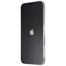 Apple iPhone 12 Pro Max (6.7-inch) Smartphone (A2342) UNLOCKED - Silver/512GB
