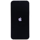 Apple iPhone 12 Pro Max (6.7-inch) Smartphone (A2342) Unlocked - Silver/256GB