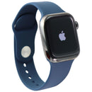 Apple Watch Series 7 (GPS + LTE) A2475 (41mm) Stainless Graphite/Blue Sp Band