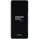Samsung Galaxy S21 Ultra 5G (6.8-inch) SM-G998U1 Unlocked - 128GB/Silver