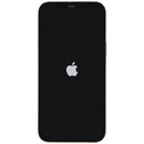 Apple iPhone 12 Pro Max (6.7-inch) Smartphone (A2342) AT&T Only - Gold / 128GB