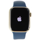 Apple Watch Series 7 (GPS + LTE) A2477 (45mm) Stainless Gold/Blue Sp Band