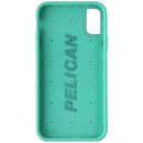 Pelican Protector Series Hard Case for Apple iPhone Xs/X - Gray/Aqua
