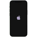 Apple iPhone 13 mini (5.4-inch) Smartphone (A2481) Unlocked - 128GB/Green