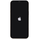Apple iPhone 12 Pro Max (6.7-in) A2342 Unlocked Gold/128GB - NON OEM CAMERA - Apple - Simple Cell Shop, Free shipping from Maryland!