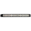 Tripp Lite 24-Port 1U Rackmount Cat6 110 Patch Panel 568B, RJ45 (N252-024) - Tripp Lite - Simple Cell Shop, Free shipping from Maryland!