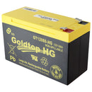 GoldTop HG Replacement Battery for Verizon FiOS Frontier (GT12080-HG) (12V/8Ah) - GoldTop - Simple Cell Shop, Free shipping from Maryland!