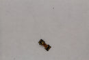 Front Facing Camera for LG Optimus L70 LG-MS323 - LG - Simple Cell Shop, Free shipping from Maryland!