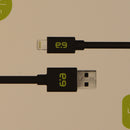 PureGear ( 60705PG ) 6Ft Charge and Sync Cable for iPhones - Black - PureGear - Simple Cell Shop, Free shipping from Maryland!