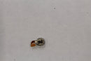 Replacement Vibrator Motor for Samsung Galaxy S4 (SGH-M919) - Samsung - Simple Cell Shop, Free shipping from Maryland!