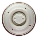 PopSockets PopGrip Swappable Top - Sparkle Rose (Top ONLY/No Base) - PopSockets - Simple Cell Shop, Free shipping from Maryland!