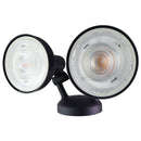 Philips - Hue White Ludere Dual Head LED Security Floodlight - Black - Philips - Simple Cell Shop, Free shipping from Maryland!