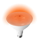 BlueX LED PAR38 Flood Light Bulb 10W (90W Equivalent) - Orange (2 Pack) - Bluex - Simple Cell Shop, Free shipping from Maryland!
