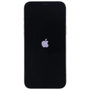Apple iPhone 12 Pro Max (6.7-in) Smartphone A2342 T-Mobile Only - Graphite/128GB - Apple - Simple Cell Shop, Free shipping from Maryland!