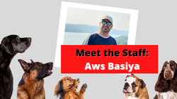 Meet the Simple Cell Staff: Aws Basiya