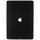 Apple iPad Pro 10.5-inch Tablet (A1701) Wi-Fi Only - 256GB / Space Gray