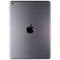 Apple iPad (9.7-inch) 6th Gen Tablet (A1893) Wi-Fi Only - 32GB / Space Gray