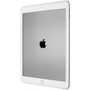 Apple iPad 9.7 inch Tablet (Wi-Fi) A1893 - 128GB/Gold (MRJP2LL/A)