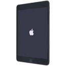 Apple iPad Mini 5th Gen (7.9-inch) Tablet (A2126) UNLOCKED - 256GB/Space Gray