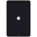 Apple iPad Mini 5th Gen (7.9-inch) Tablet (A2126) UNLOCKED - 256GB/Space Gray