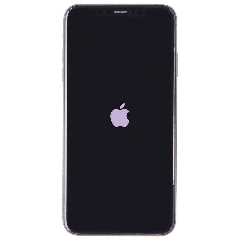 Apple iPhone XS Max (6.5-inch) Smartphone (A1921) Unlocked - 256GB / Silver