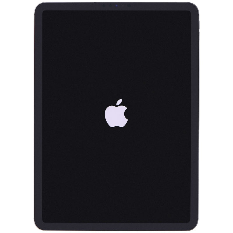 Apple iPad Pro (11-inch) Tablet (A2013) Unlocked - 256GB / Space Gray