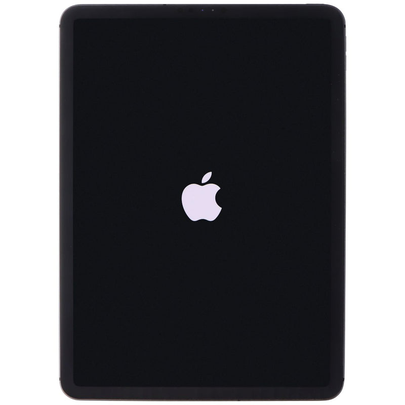 Apple iPad Pro (11-inch 2nd Gen) Tablet A2230 Unlocked 256GB / Space Gray
