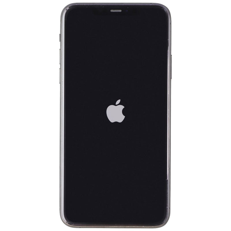 Apple iPhone 11 Pro Max (6.5-in) A2161 Unlocked - 64GB / Silver - BAD Face ID*