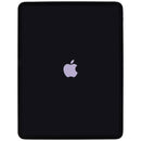 Apple iPad Pro M4 (13-inch) Tablet (A2926) Unlocked - 256GB / Space Black