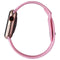 Apple Watch Series 6 (GPS + LTE) A2293 40mm Gold Aluminum / Pink Sport Band