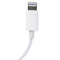 Apple Wired 8-Pin EarPods with In-Line Mic/Remote - White (A1748)