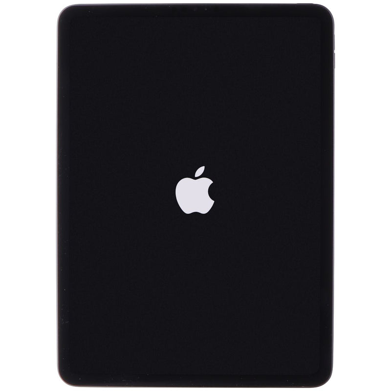 Apple iPad Pro 11-inch (4th Gen) Tablet (A2759) Wi-Fi Only - 1TB/Space Gray