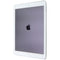 Apple iPad Pro 9.7 (1st Gen, 2016) A1674 (unlocked) - 32GB / Silver