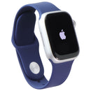 Apple Watch Series 9 (GPS + LTE) A2982 41mm Silver AL / Winter Blue Sp Band S/M