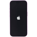 Apple iPhone 16 (6.1-inch) Smartphone (A3081) Unlocked - 128GB / Pink