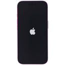 Apple iPhone 16 (6.1-inch) Smartphone (A3081) Unlocked - 128GB / Pink