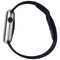 Apple Watch Series 9 (GPS + LTE)  A2984 45mm Silver AL / Storm Blue SB (M/L)