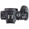 Canon EOS R6 Full Frame Mirrorless Digital Camera (Body Only) - Black (DS126832)