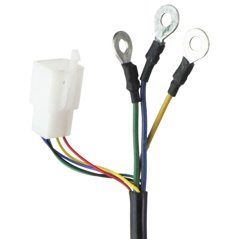 CCCs (48V / 500-Watt) Electric Wired Gear Motor - Black (TZCC18122560275)